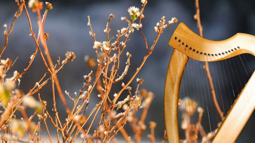 main page image